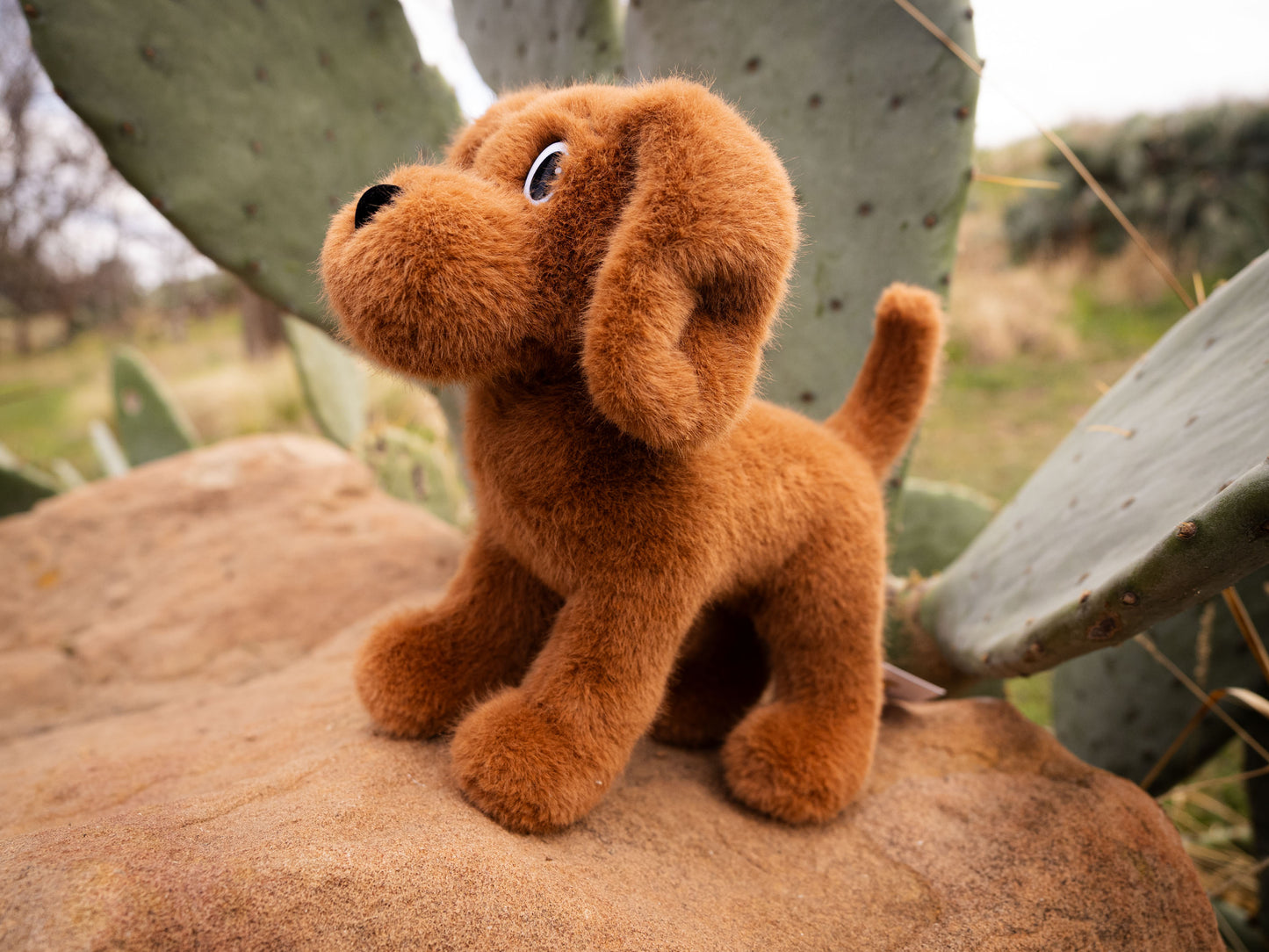 Hank the Cowdog Plush