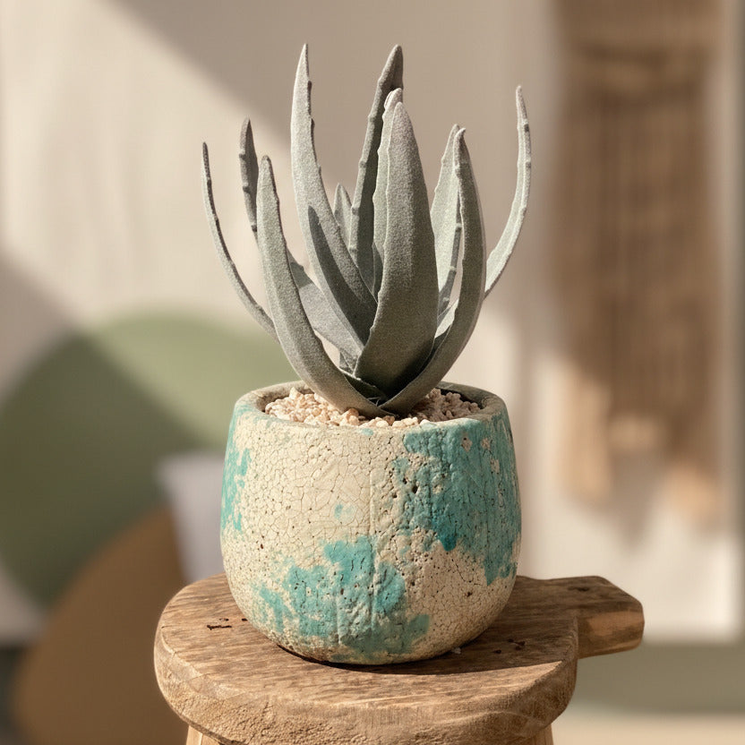 Potted Cactus Decor-EM1811