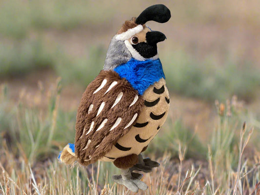 Upland Quail