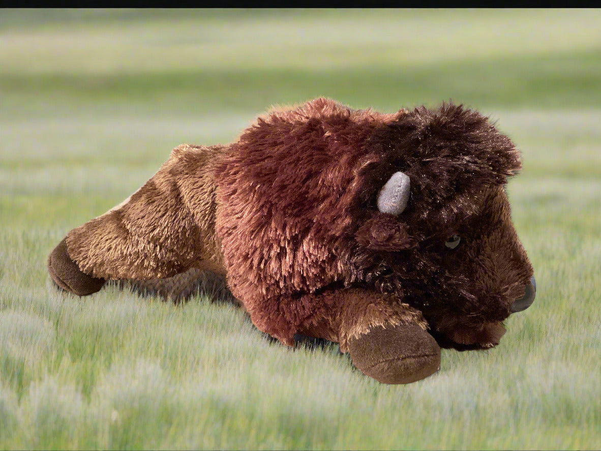 12" Bison