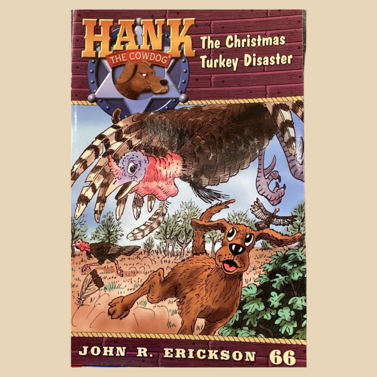 Book titled 'Hank the Cornish: The Christmas Turkey Disaster' by John R. Erickson on a surface with a gray wall background.