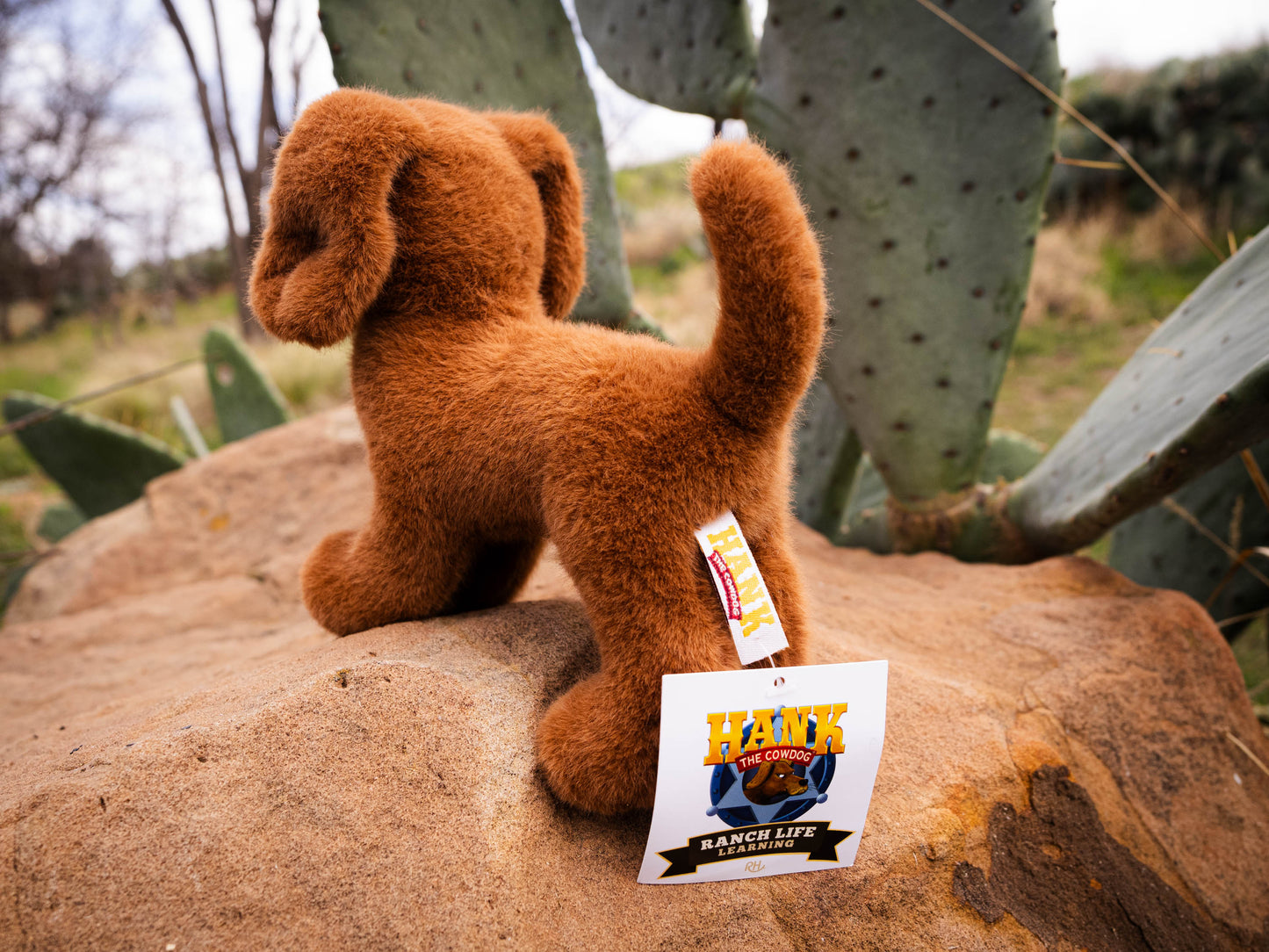 Hank the Cowdog Plush