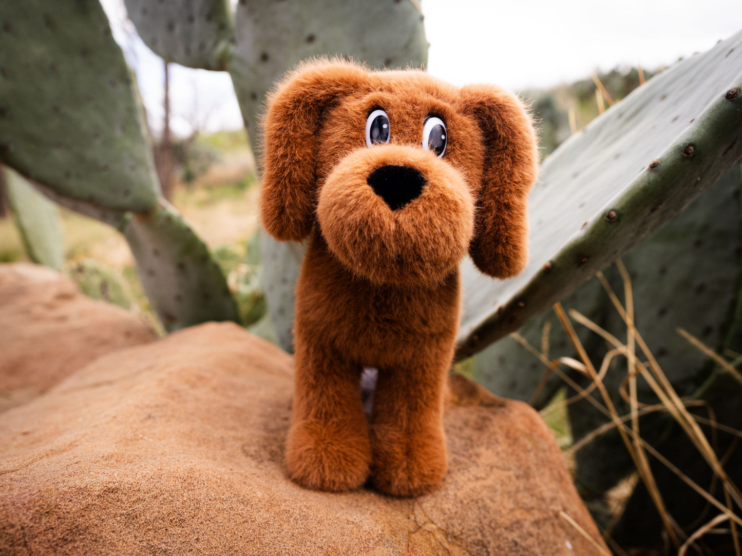 Hank the Cowdog Plush