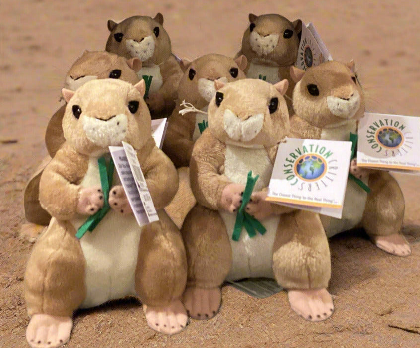 6" Prairie Dog