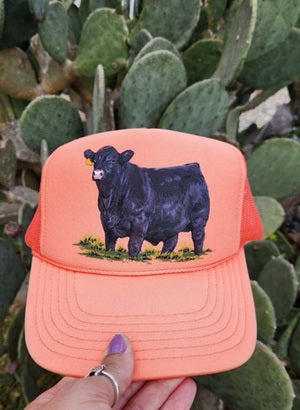 Angus Show Bull Trucker Hat