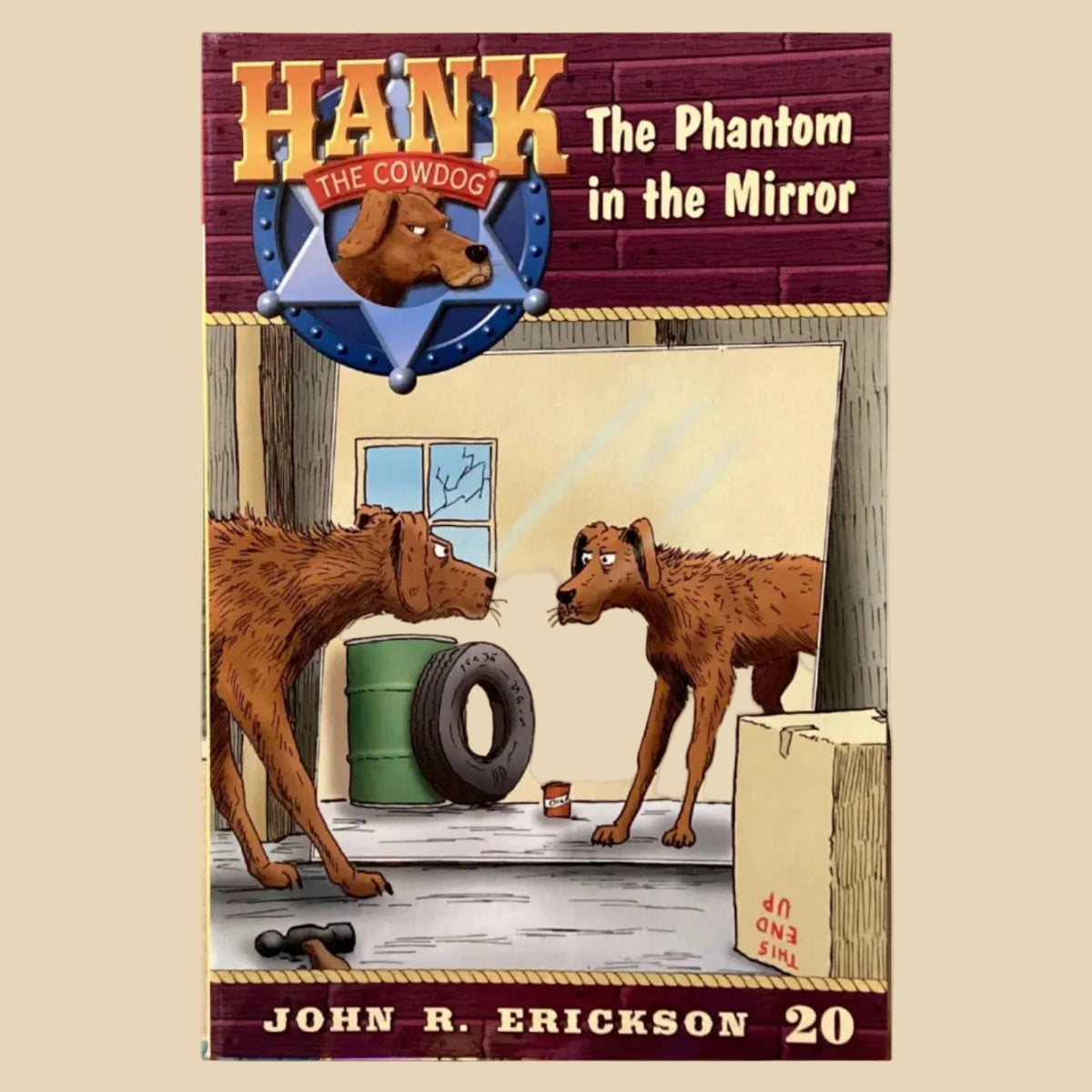 Book titled 'Hank the Phantom in the Mirror' by John R. Erickson on a shelf against a gray wall.