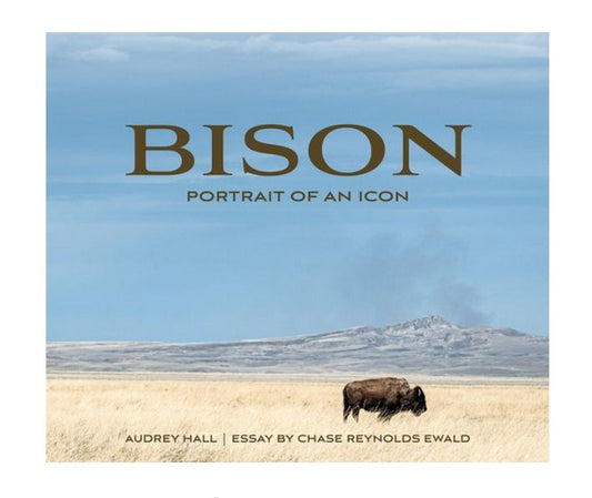 Bison: Portrait of an Icon