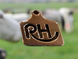 RH Brand Small Metal Eartag
