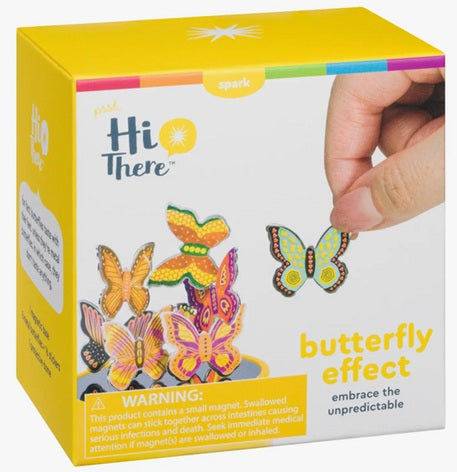 Butterfly Effect
