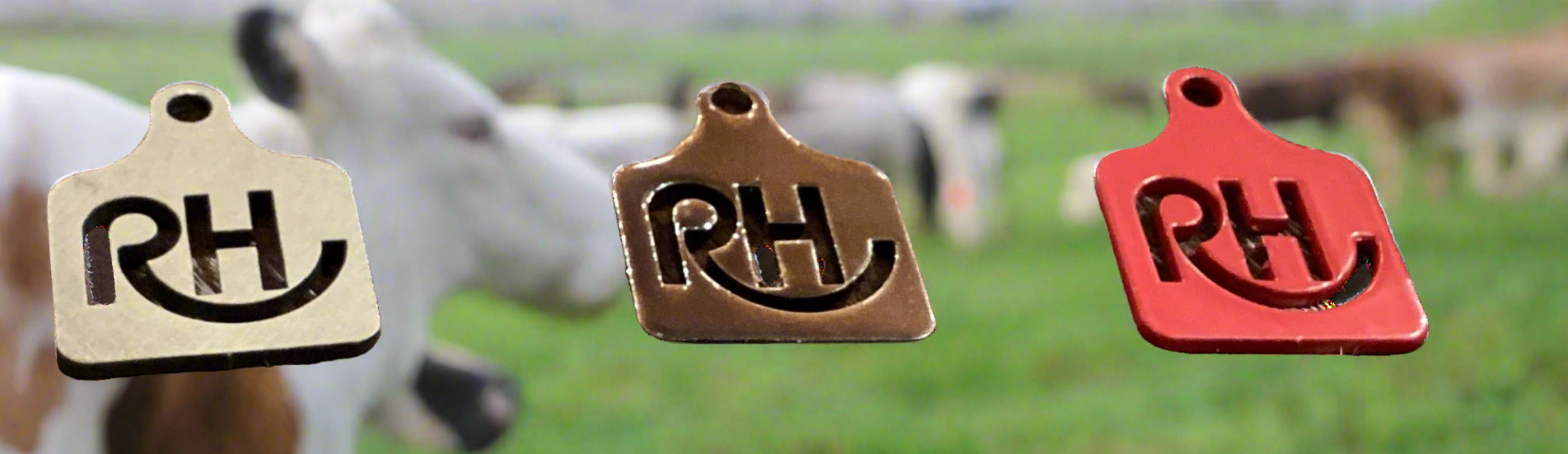 Three small metal eartags in brown, red, and beige colors, each with the letter 'RH' engraved on them.
