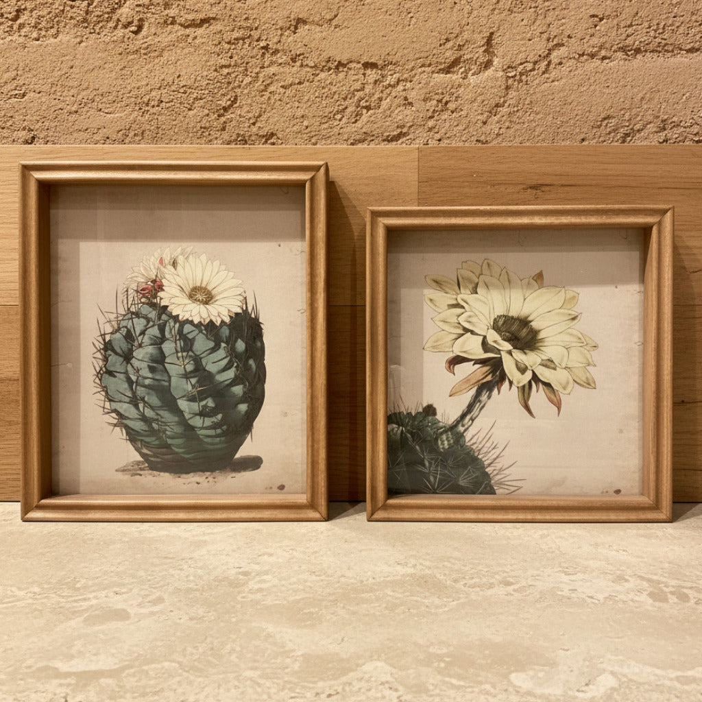 Small Cactus Print
