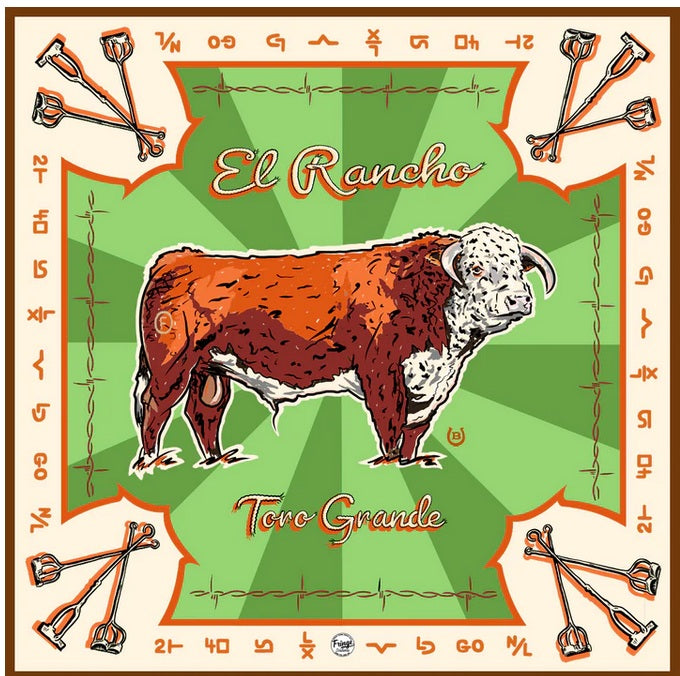 Fringe Scarves Long Tall Scarves