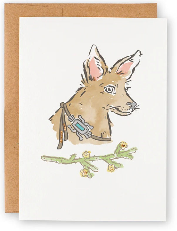 Nicky Ovitt Cards Cello Bagged