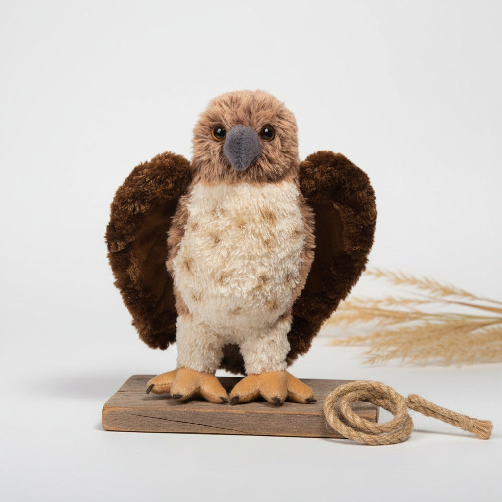 Orion Red Tail Hawk-3759