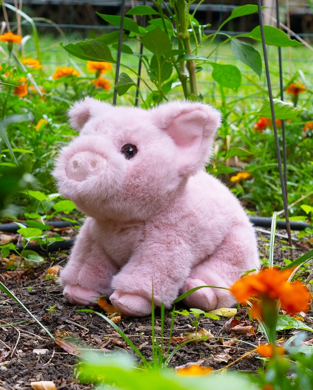 Pinkie PIG SOFT