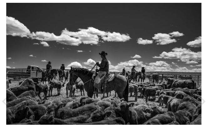 RANCHLAND: WAGONHOUND