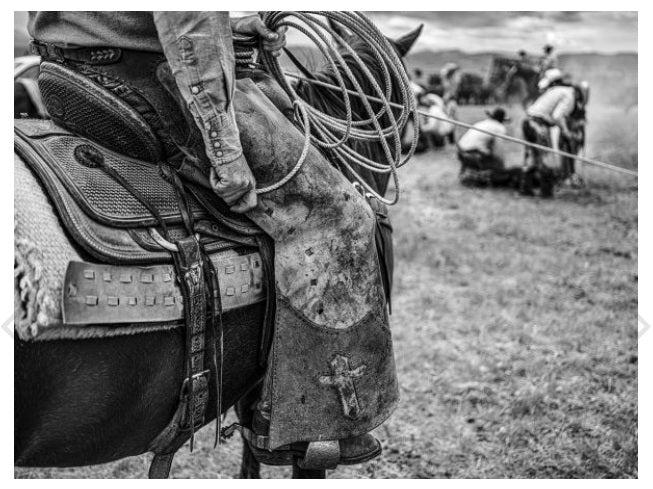 RANCHLAND: WAGONHOUND