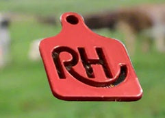 RH Brand Small Metal Eartag