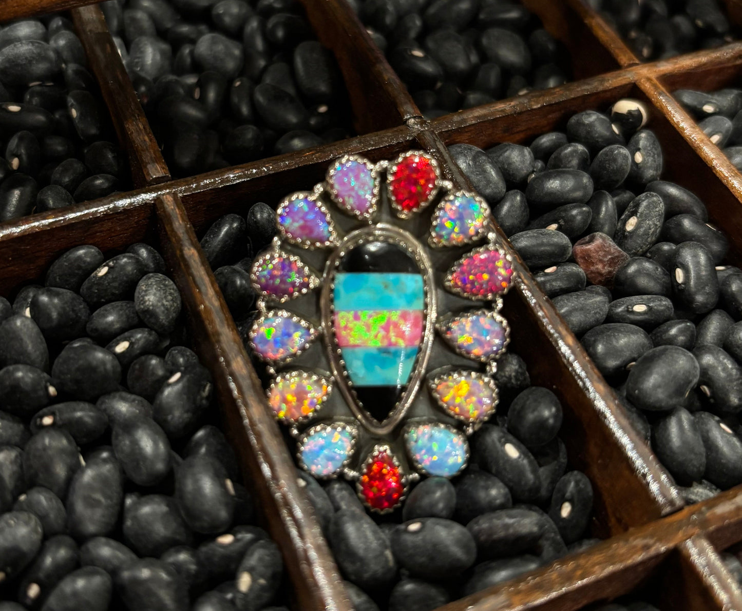 Queen of the Rodeo Ring