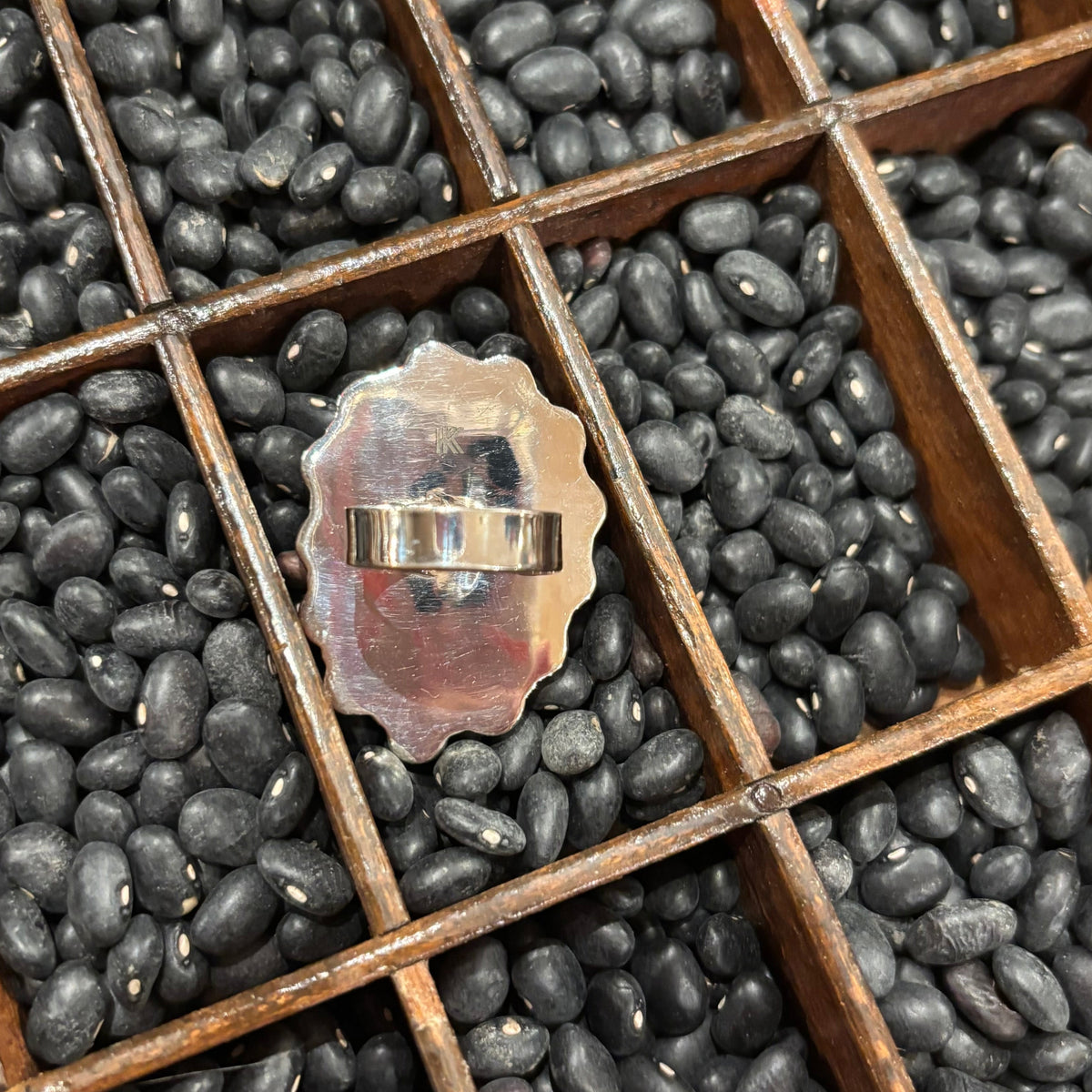 Queen of the Rodeo Ring
