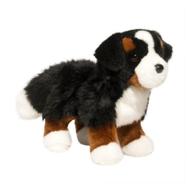 Stevie Bernese Mountain Dog