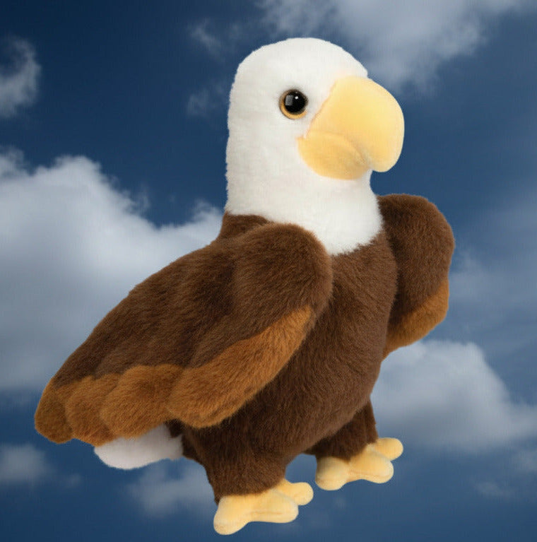 Windy EAGLE