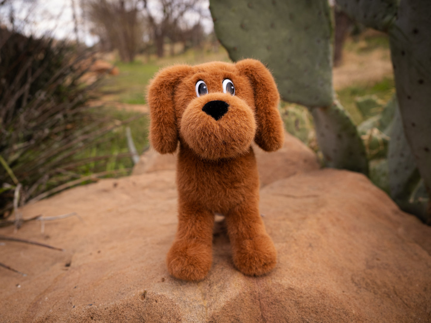 Hank the Cowdog Plush