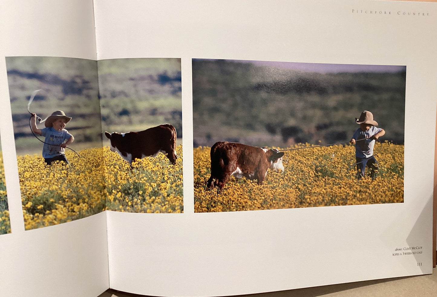 Pitchfork Country: The Photography of Bob Moorhouse