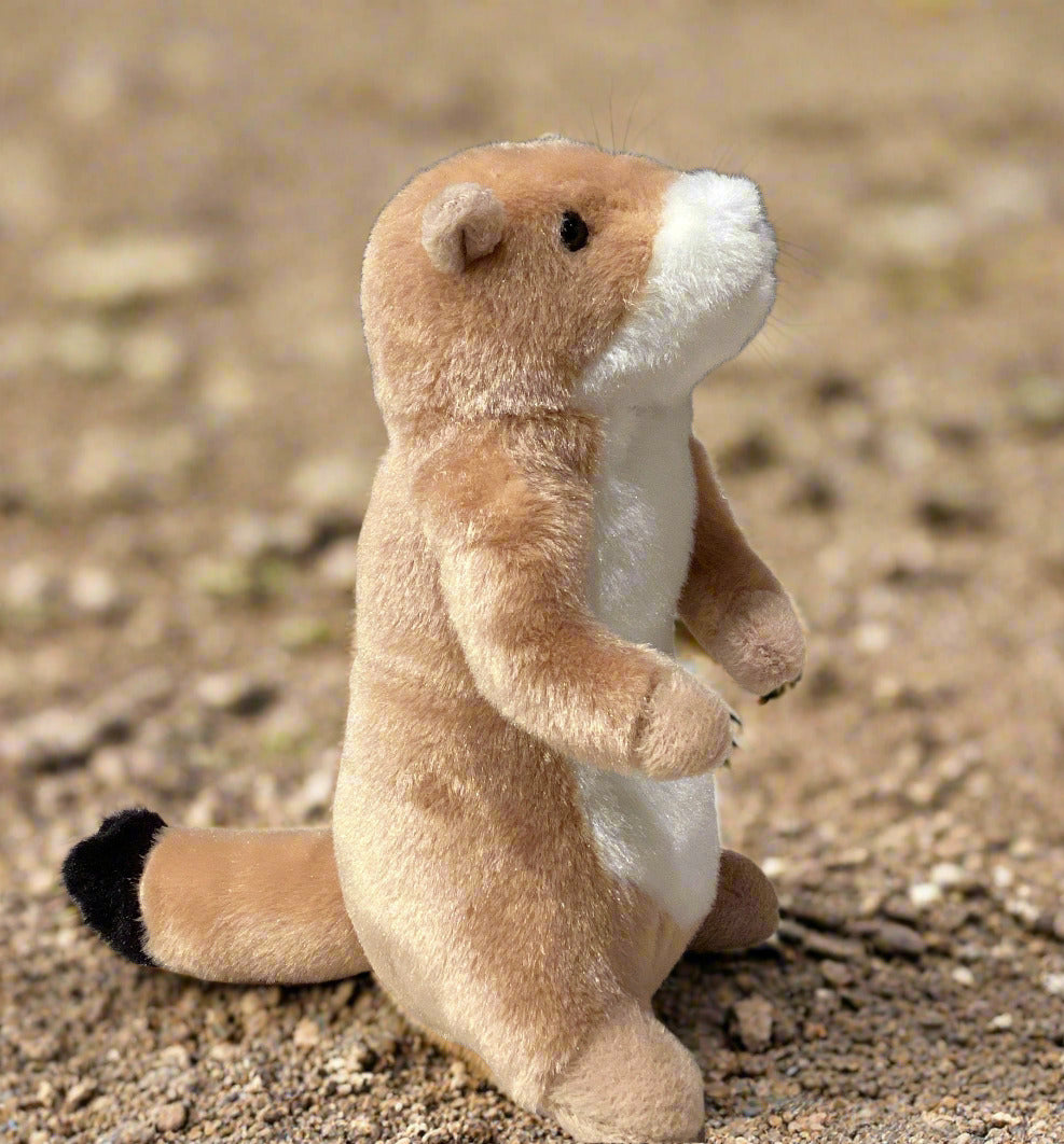 Digger PRAIRIE DOG