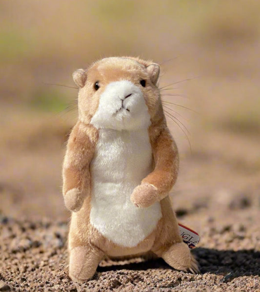 Plush toy groundhog on a beige surface with a gray wall background