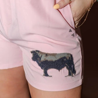 2 Fly Shorts