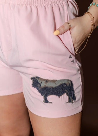 2 Fly Shorts