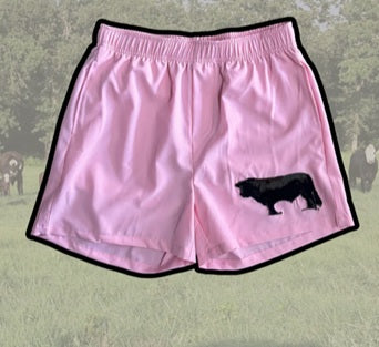 2 Fly Shorts