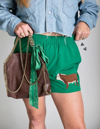 2 Fly Shorts