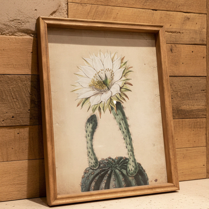 A framed botanical art print of a white desert flower blooming from a green cactus, set in a light brown wooden frame and leaning against a dark gray wall.