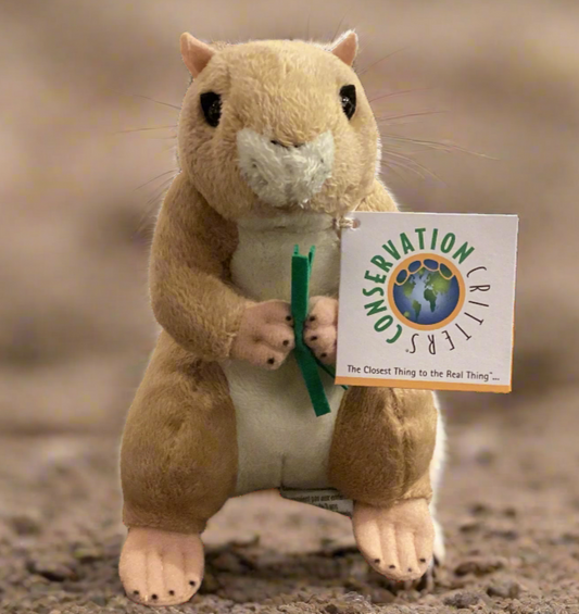6" Prairie Dog