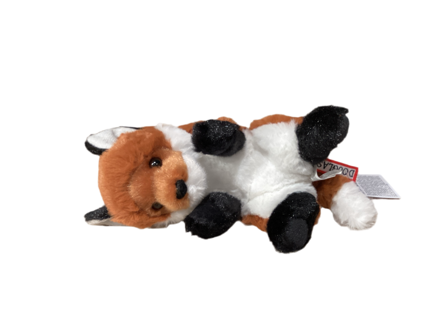 Lil' Baby Fox