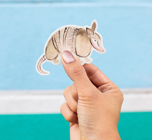 Armadillo Sticker
