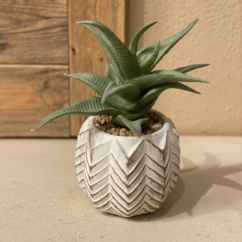 Small Succulents