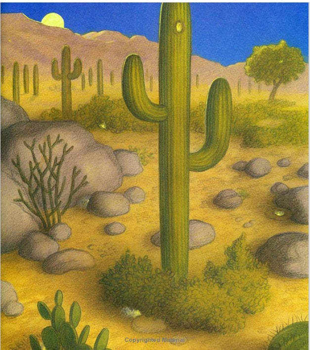 Bedtime in the Southwest