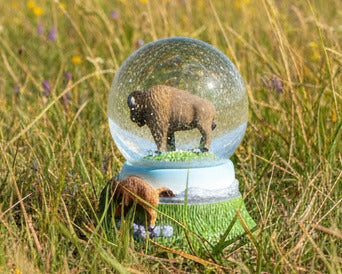 Animals Forever 45mm Snow Globes