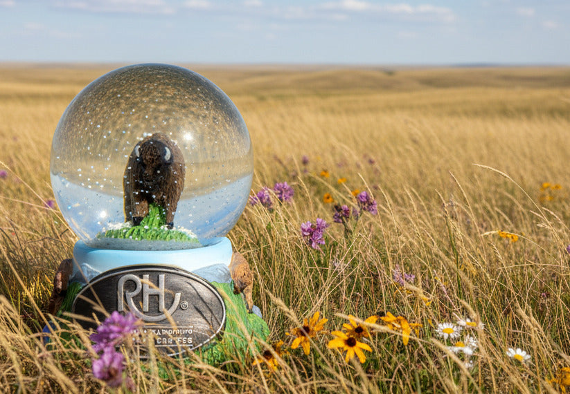 Animals Forever 45mm Snow Globes