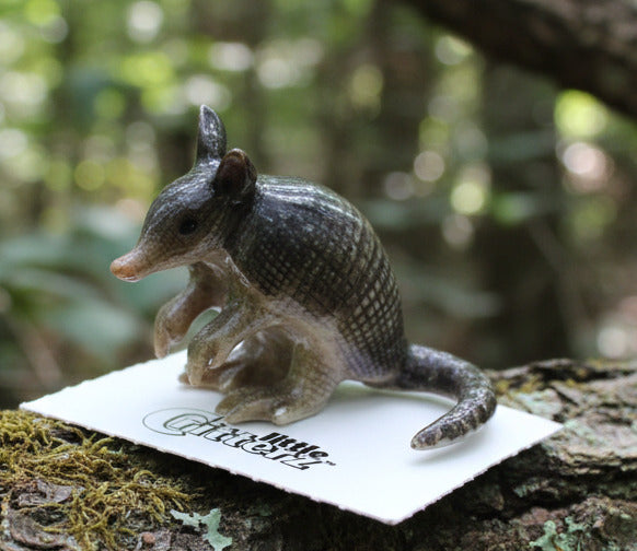 Small figurine of an armadillo on a white background with 'Little Critterz' branding.