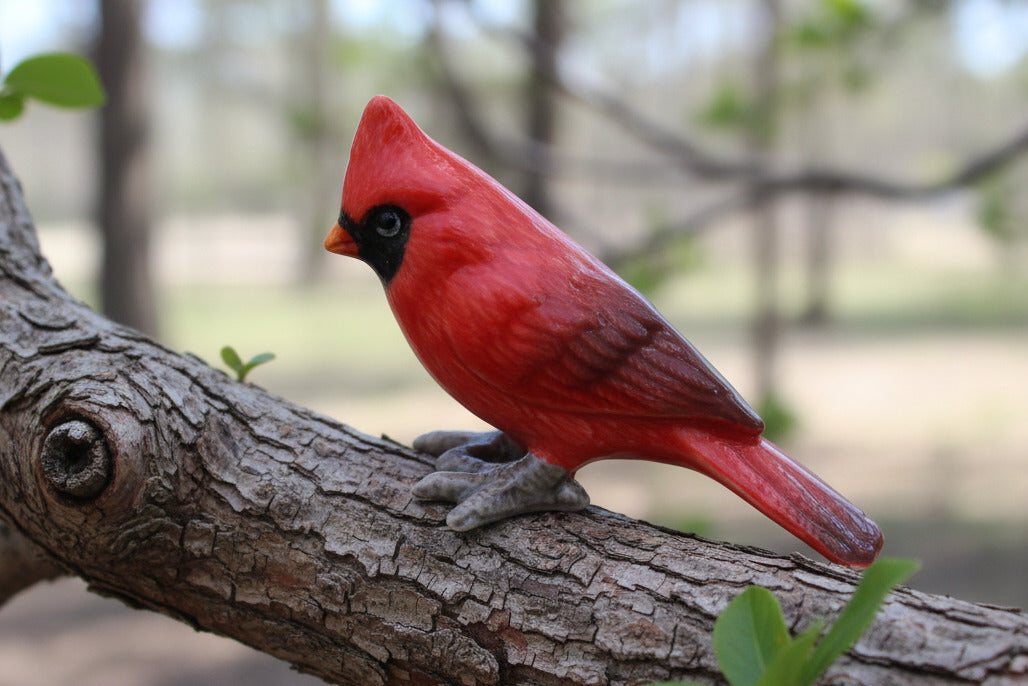 Red bird figurine on a white background with 'Little Critterz' branding.