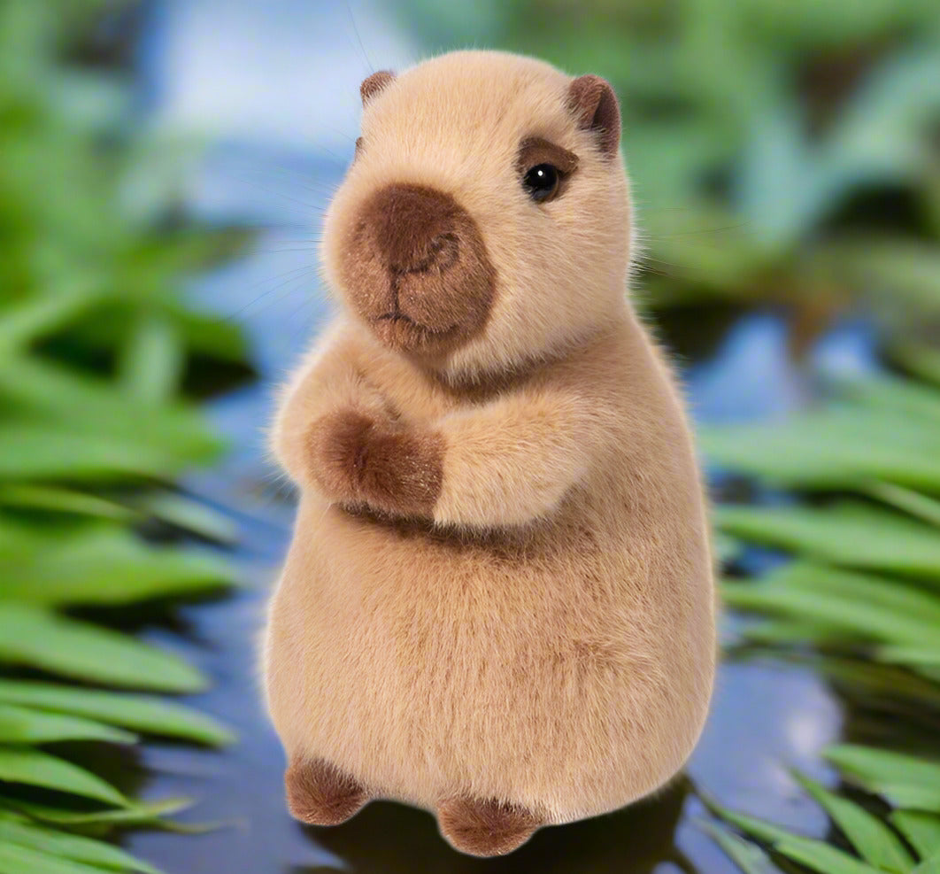 Plush toy groundhog on a white background