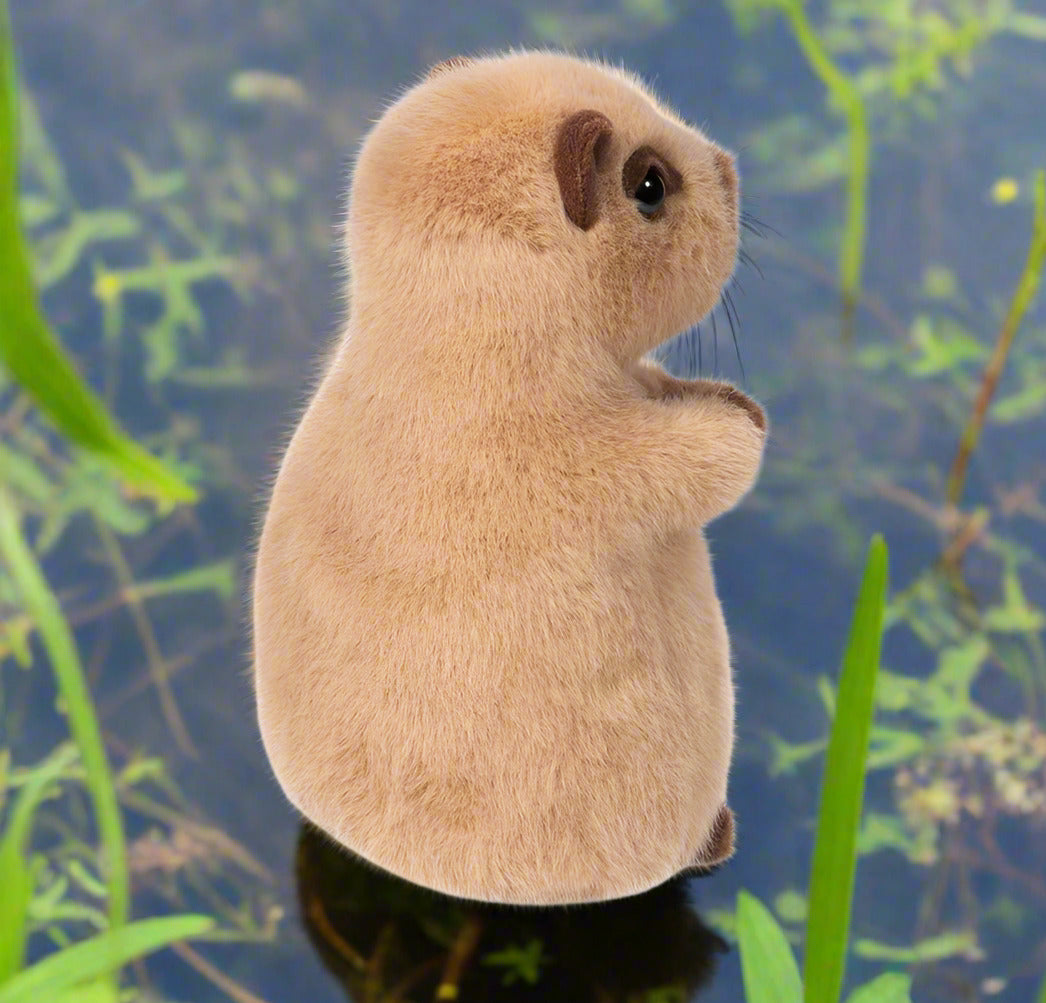 Chattie Capybara Mini Soft