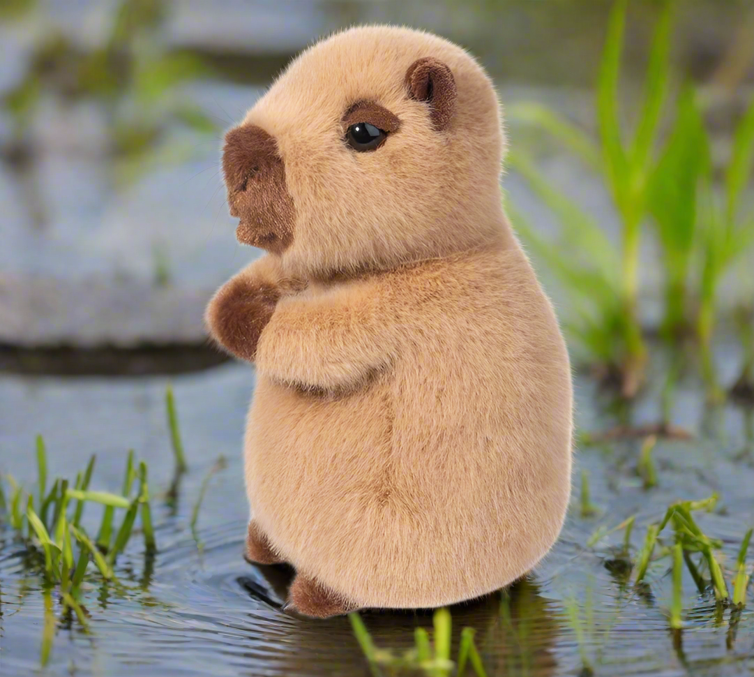 Chattie Capybara Mini Soft