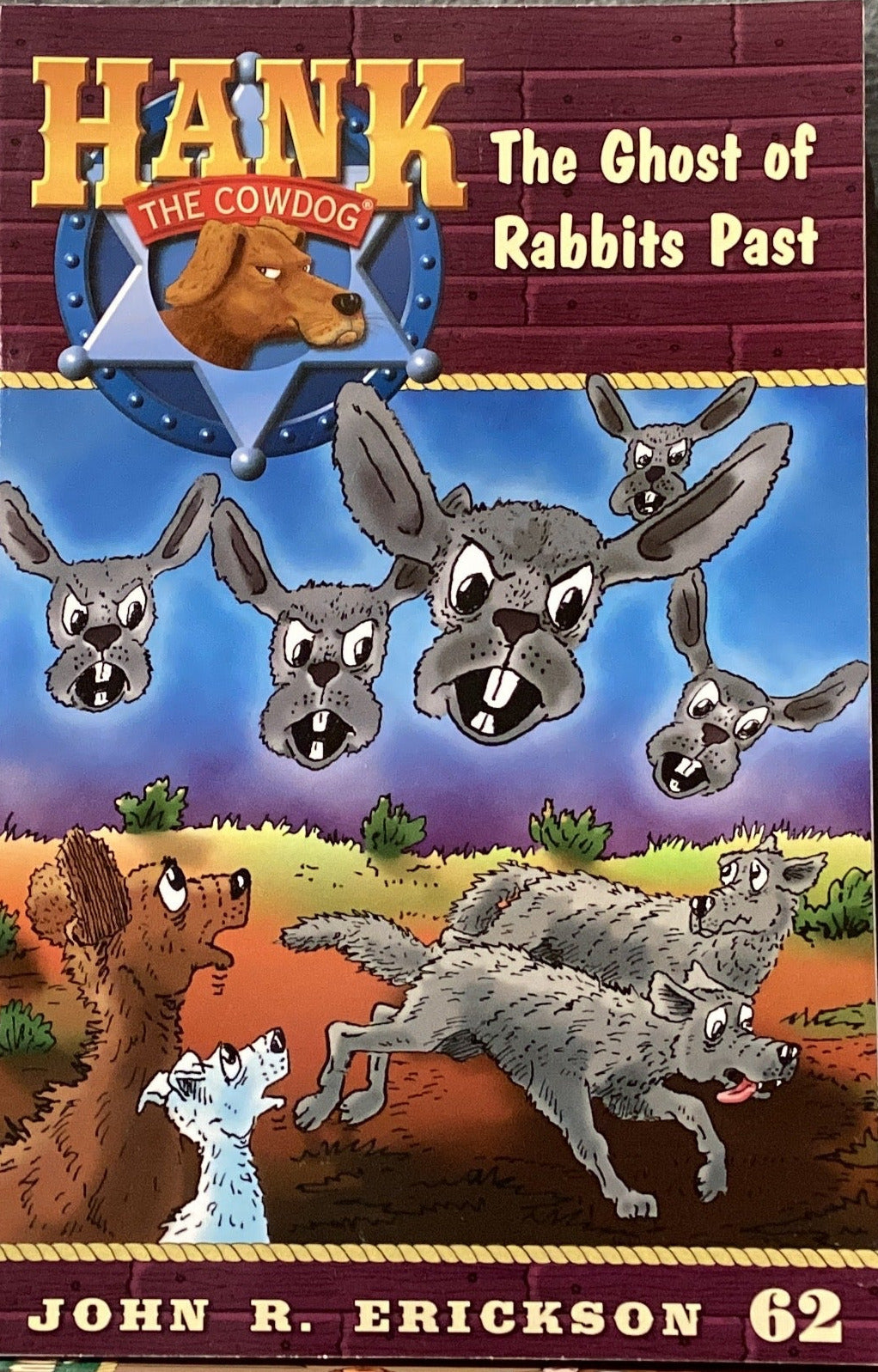 Book titled 'Hank the Cowdog: The Ghost of Rabbits Past' by John R. Erickson on a shelf against a gray wall.