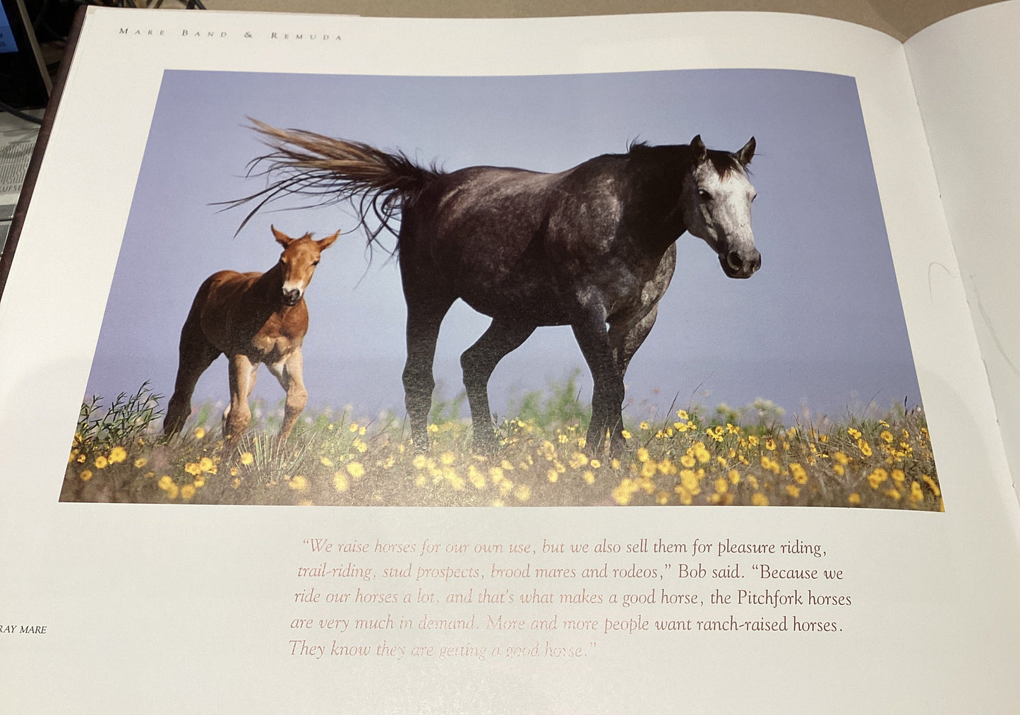 Book open to a page with an illustration of a horse and foal in a field.