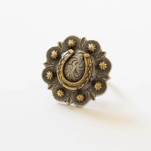 Golden Horseshoe Scarf Slide
